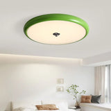 Plafoniera LED Soffitto Verde per Camera da Letto
