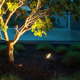 Faretti da Terra Giardino Solare Regolabile in Metallo