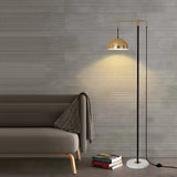 Metal Dome Arm Modern Floor Lamp