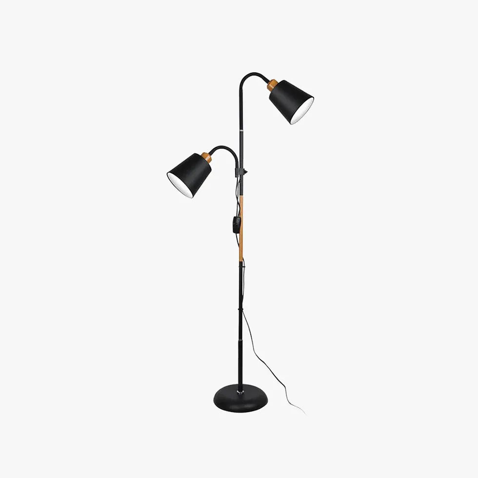 Double-Head Adjustable Black Floor Lamp