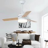 Black Modern Living Room Fan Light