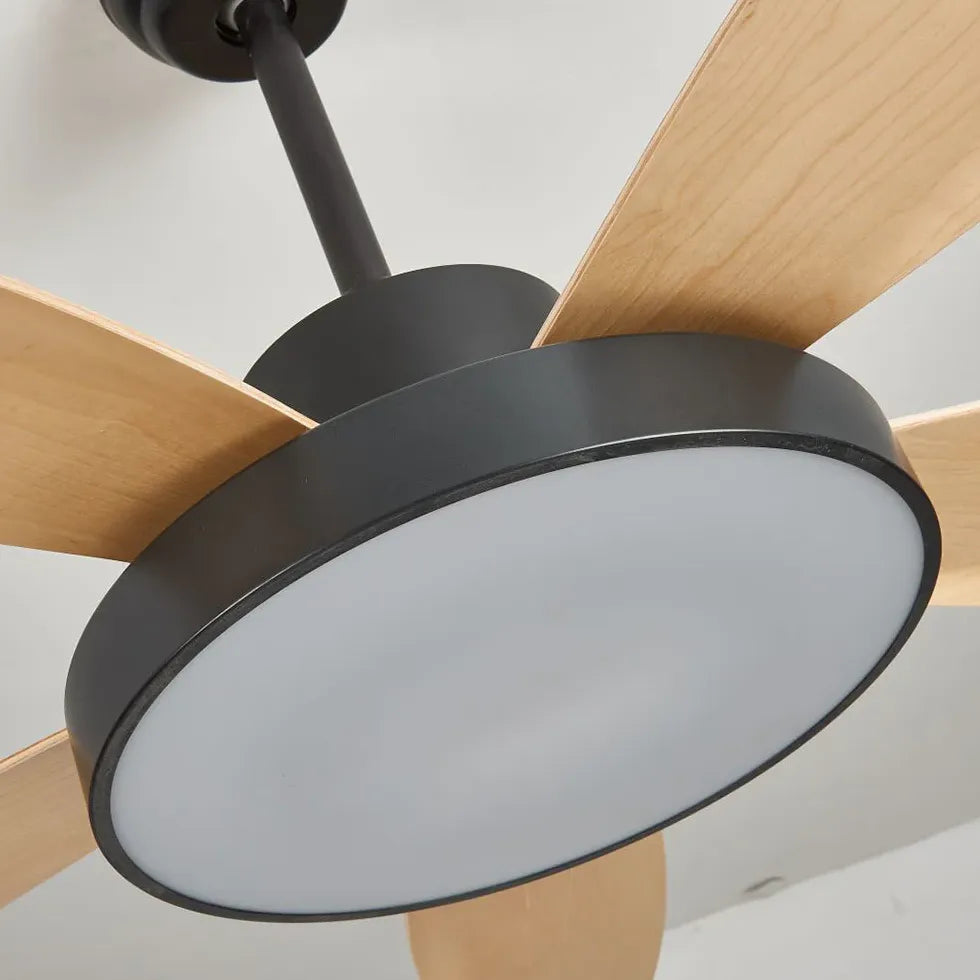 Five-Blade Modern Study Room Fan Light