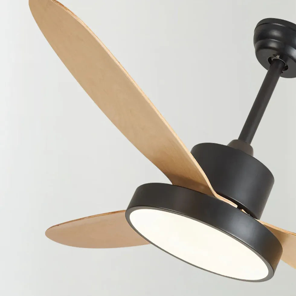 Five-Blade Modern Study Room Fan Light