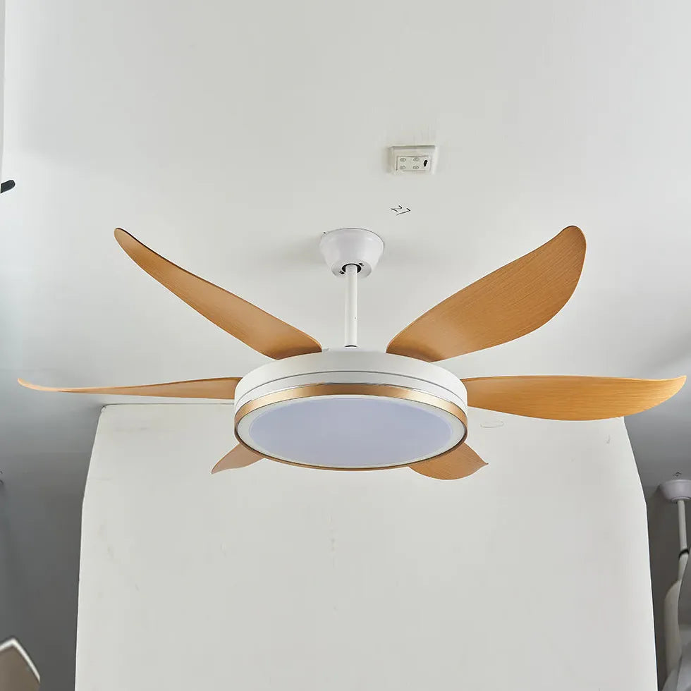 Vortice Ventilatore Soffitto Con Luce Luce Regolabile