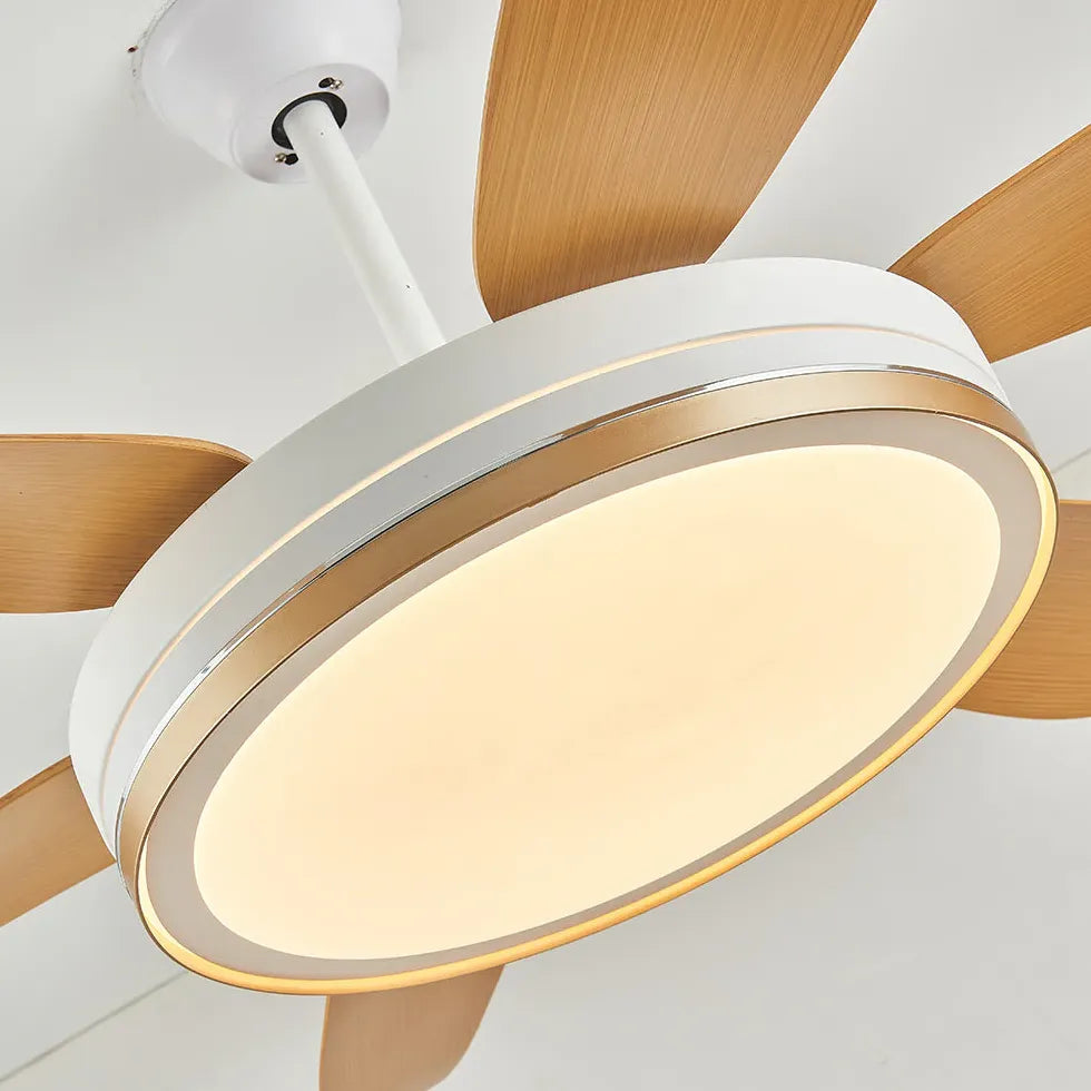 Vortice Ventilatore Soffitto Con Luce Luce Regolabile