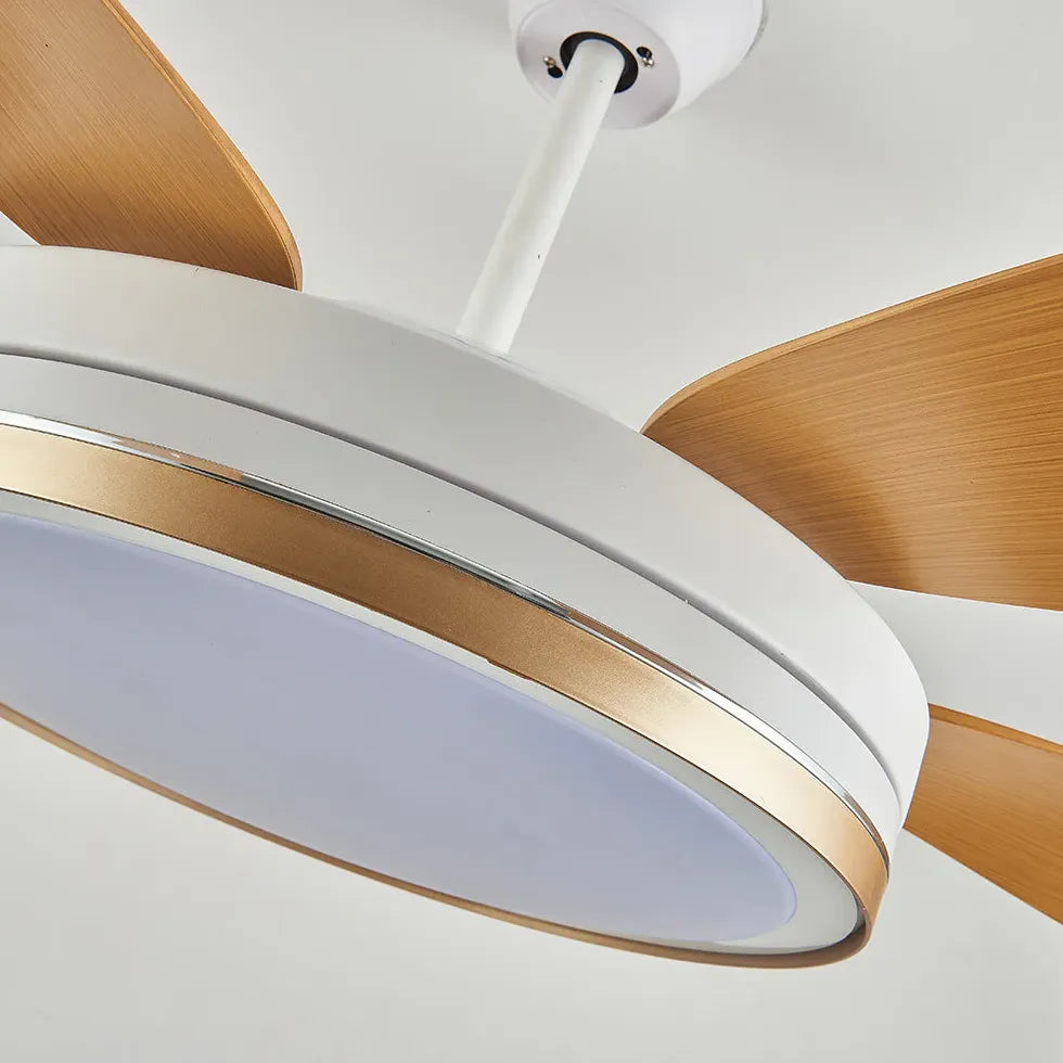 Vortice Ventilatore Soffitto Con Luce Luce Regolabile