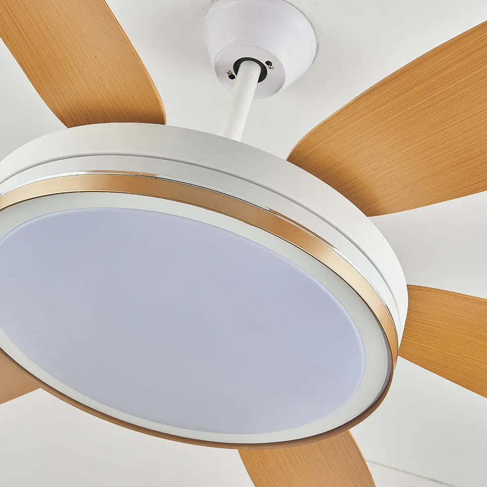 Vortice Ventilatore Soffitto Con Luce Luce Regolabile