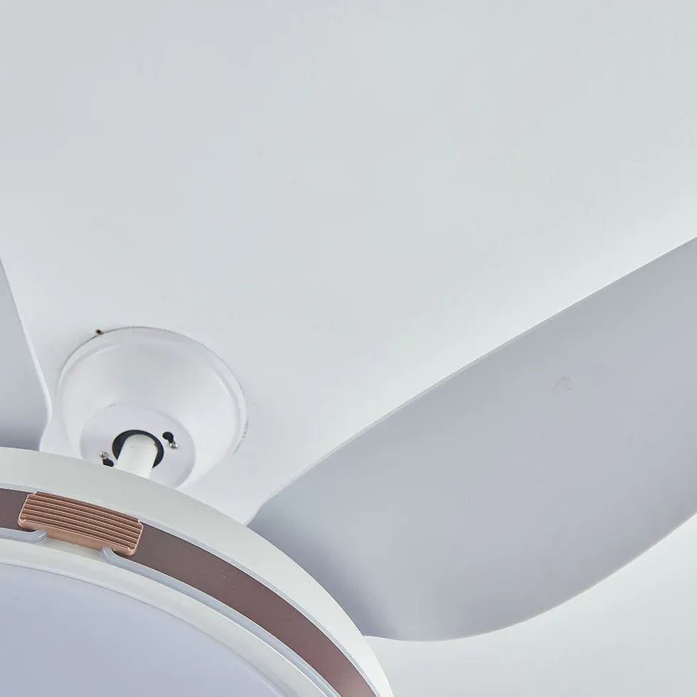 Ventilatori da soffitto con luce Stile Moderno