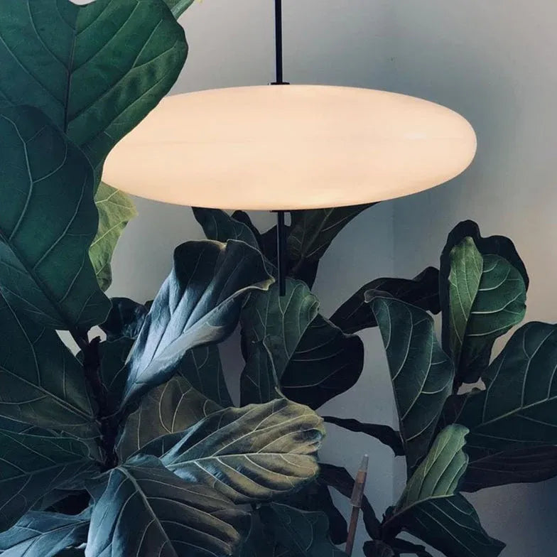 Lampadari sospensione design moderno Luce calda ellittica