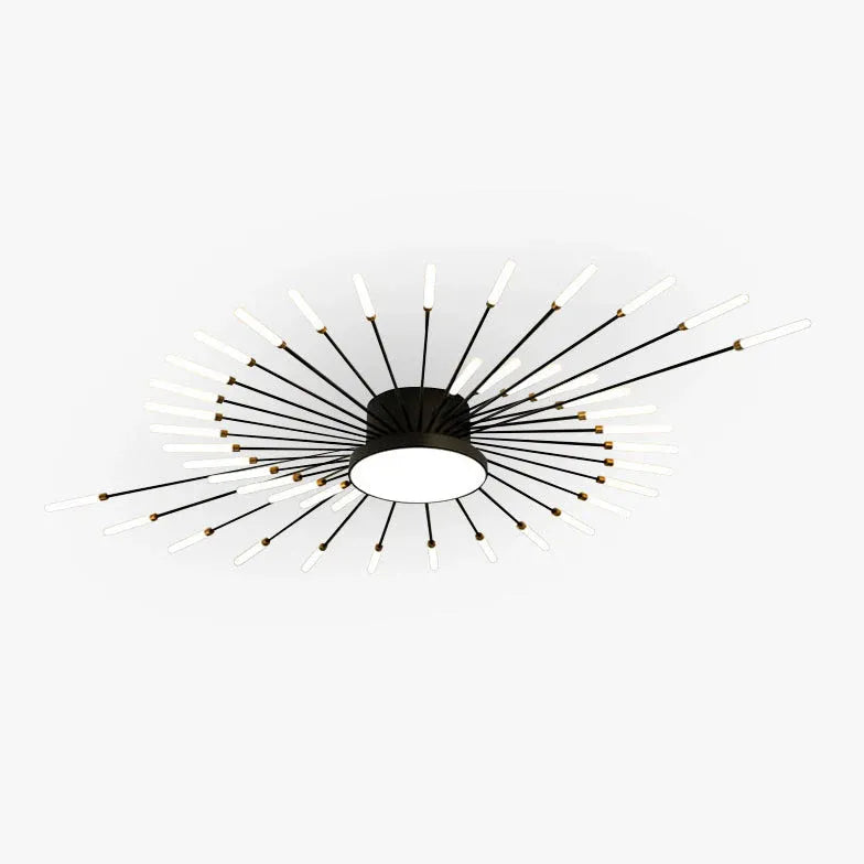 Black LED Modern Flush Ceiling Lights