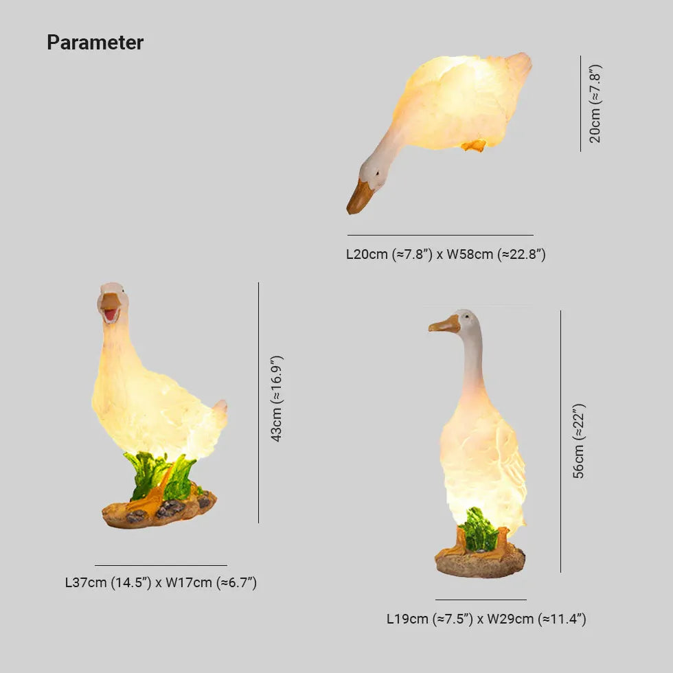 Luci da pavimento per esterni giardino oche