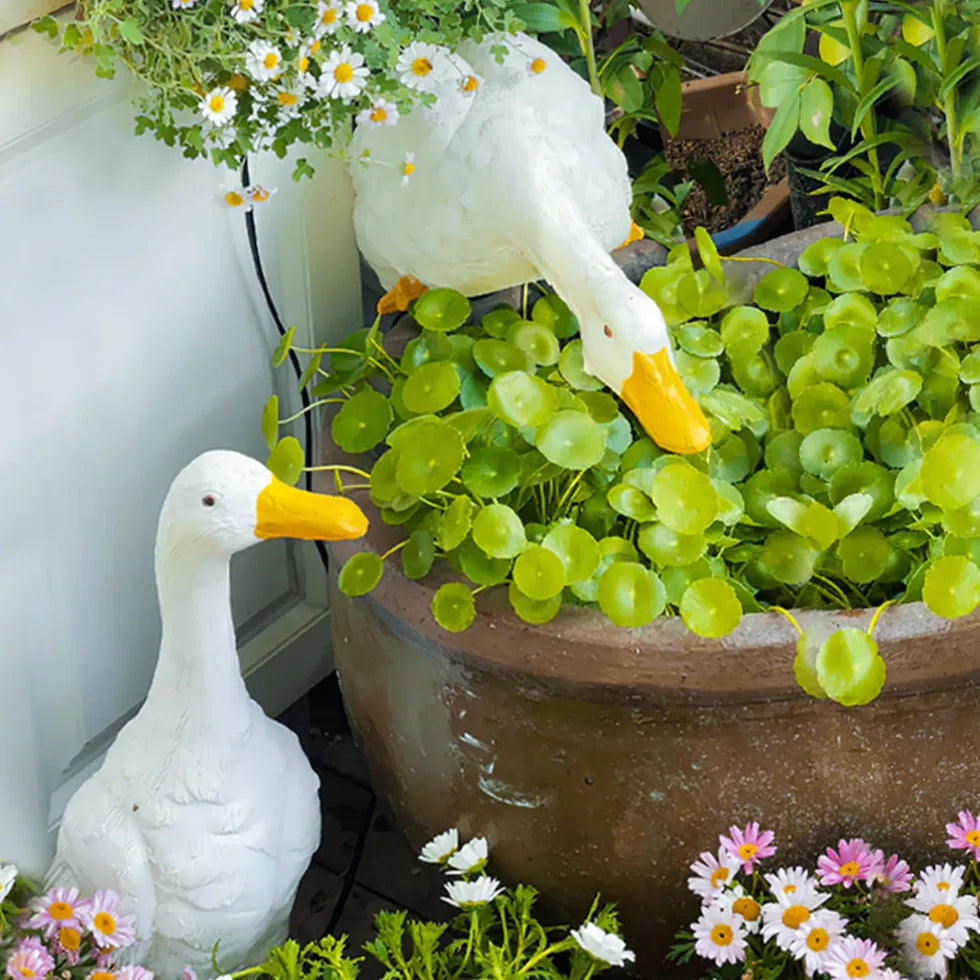 Luci da pavimento per esterni giardino oche