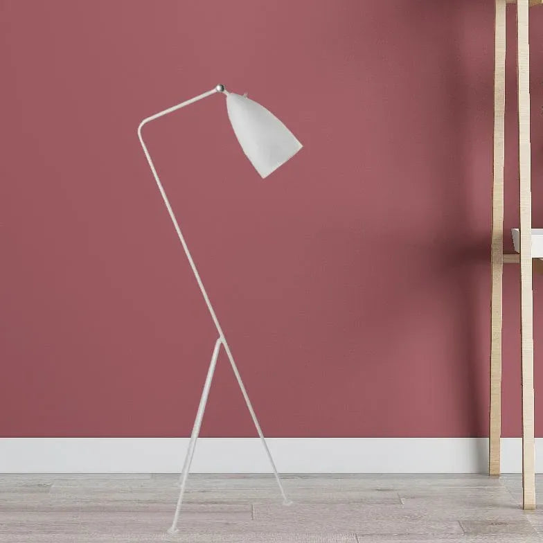 Slanted Tripod Minimalist Floor Lamp