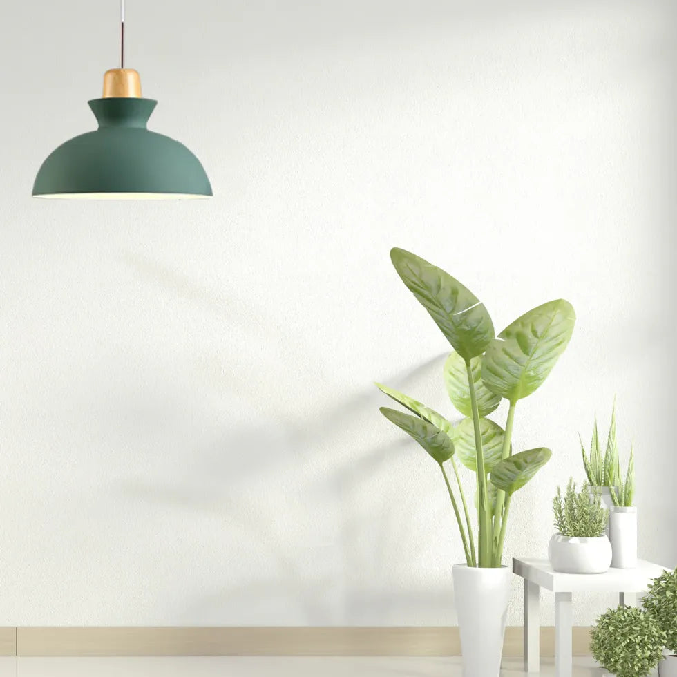 Black Semi-Spherical Minimalist Pendant Light