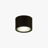 Small Cylinder Modern Bedroom Ceiling Light