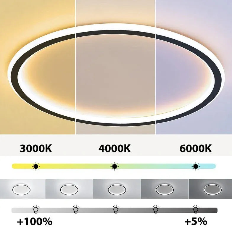 Ring Modern Living Room Flush Ceiling Lights