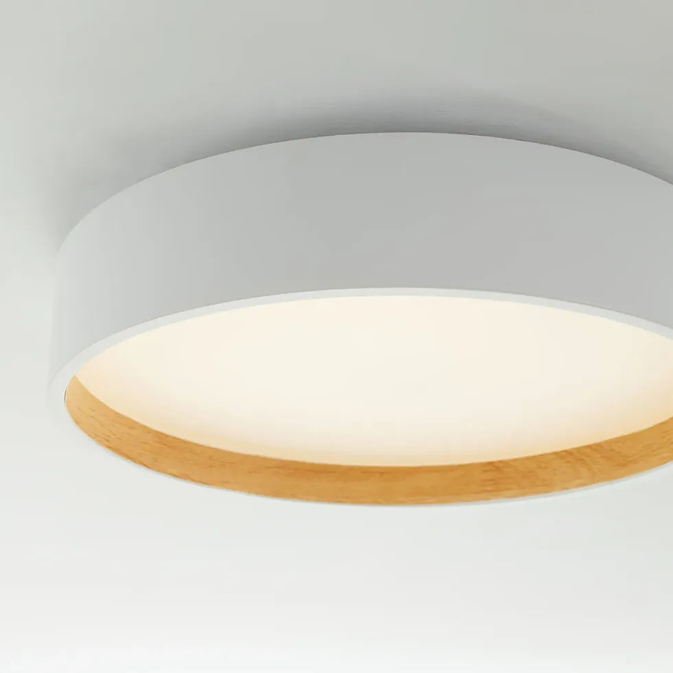 Gray Round Minimalist Modern Ceiling Light