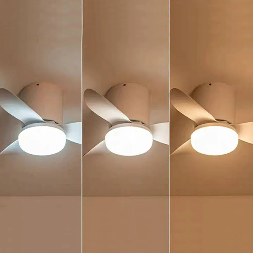 Three-Blade Acrylic Ceiling Fan with Light