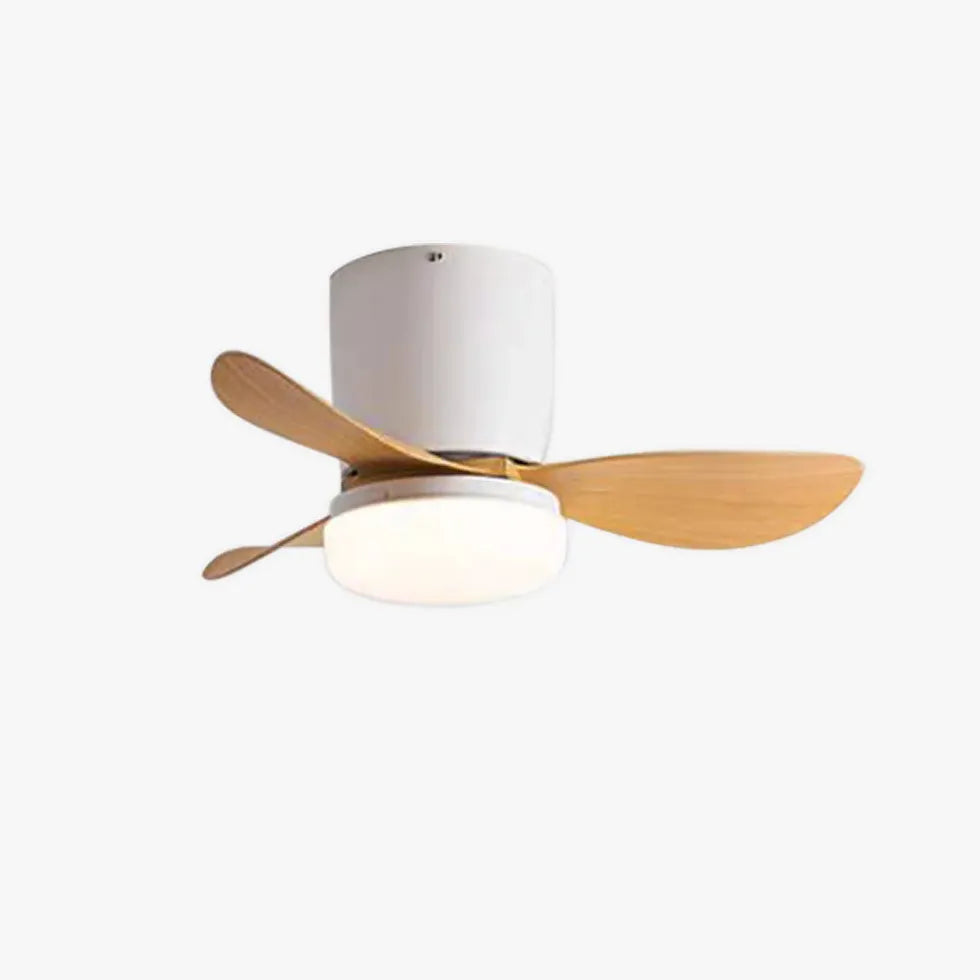 Three-Blade Acrylic Ceiling Fan with Light