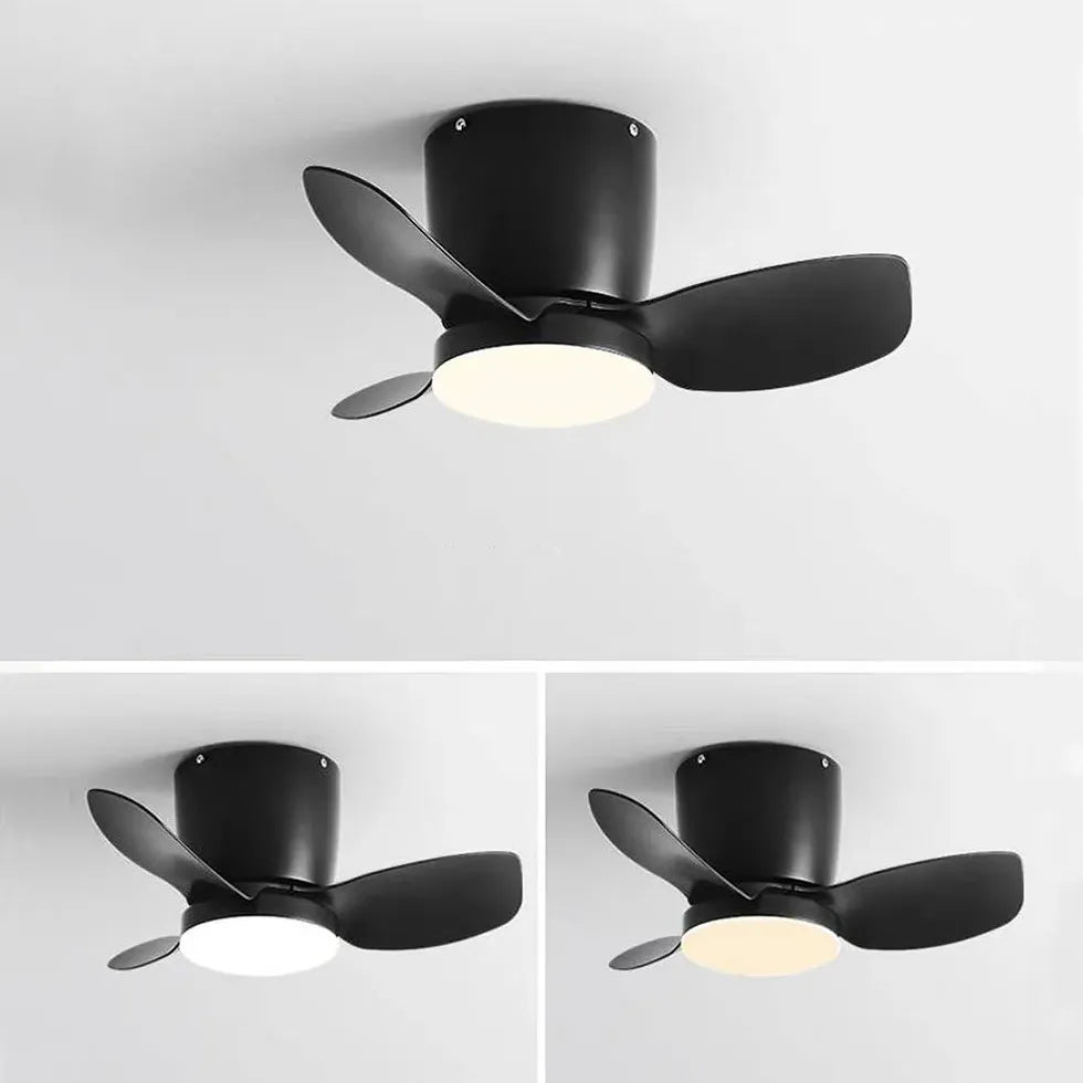 Three-Blade Acrylic Ceiling Fan with Light