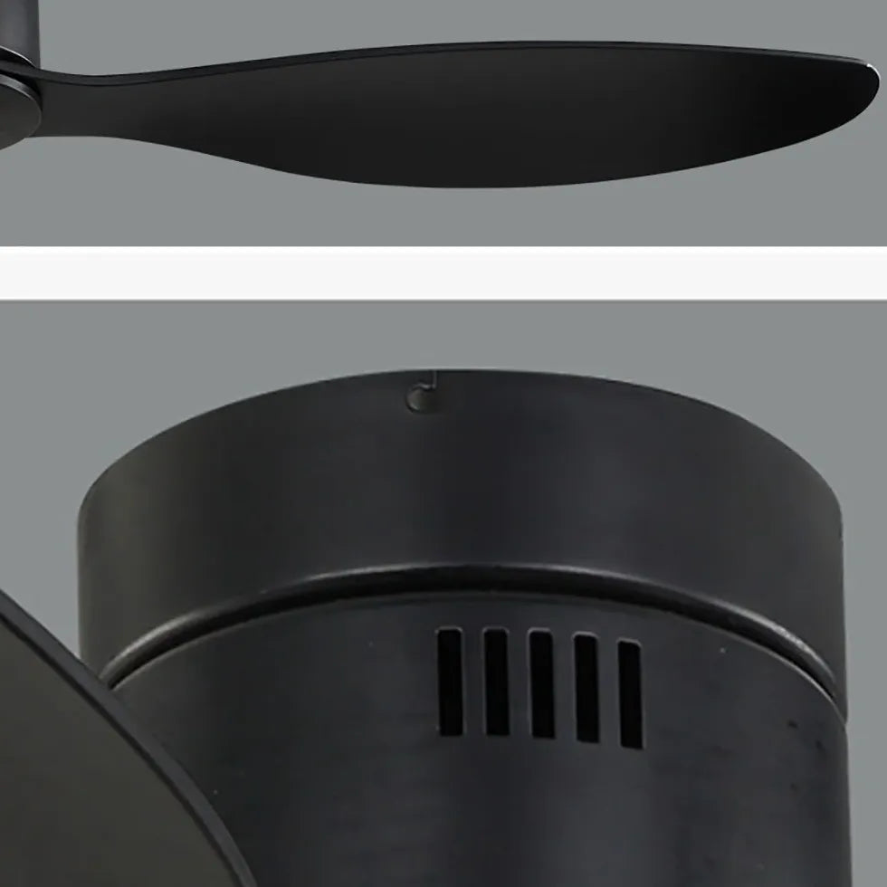 Black Modern Three-Blade Ceiling Fan Light